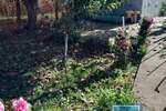 Plac, Jagodina, prodaja, 1331m2, 18500e, id750355